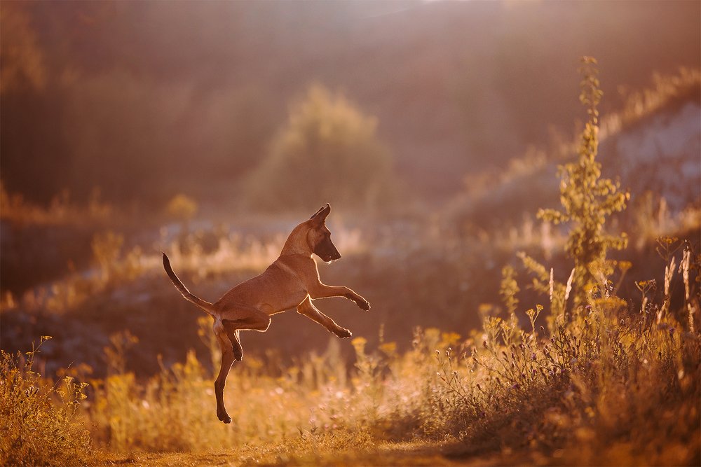 Photograph by Анастасия Пикей