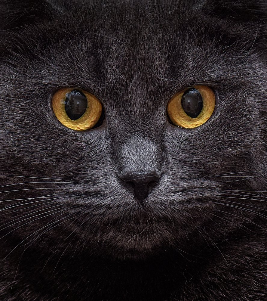 Photograph by Анна Кривицкая