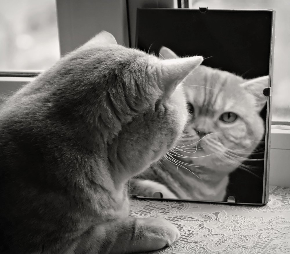 Фотография автора Валентина Гундарева