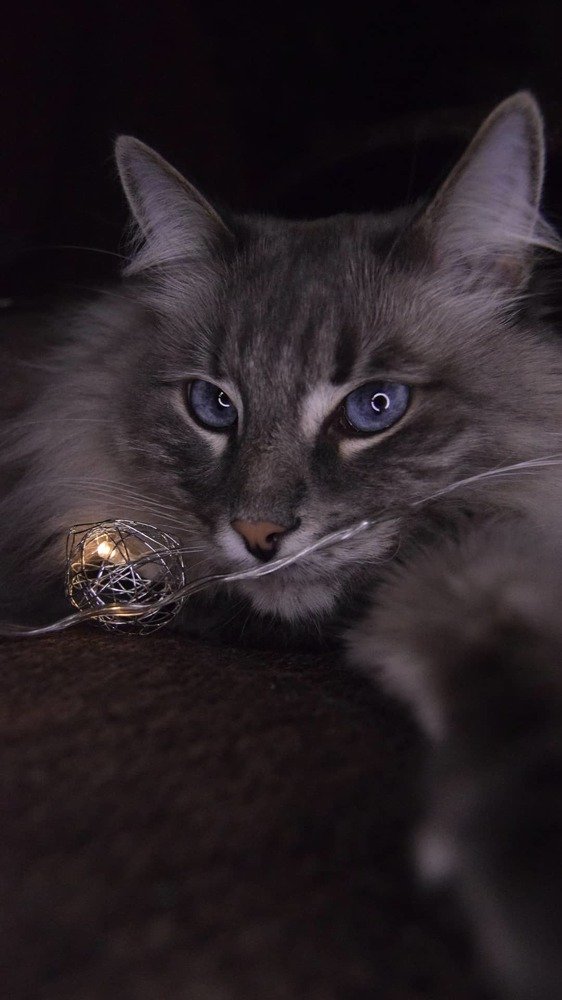 Взгляд любви