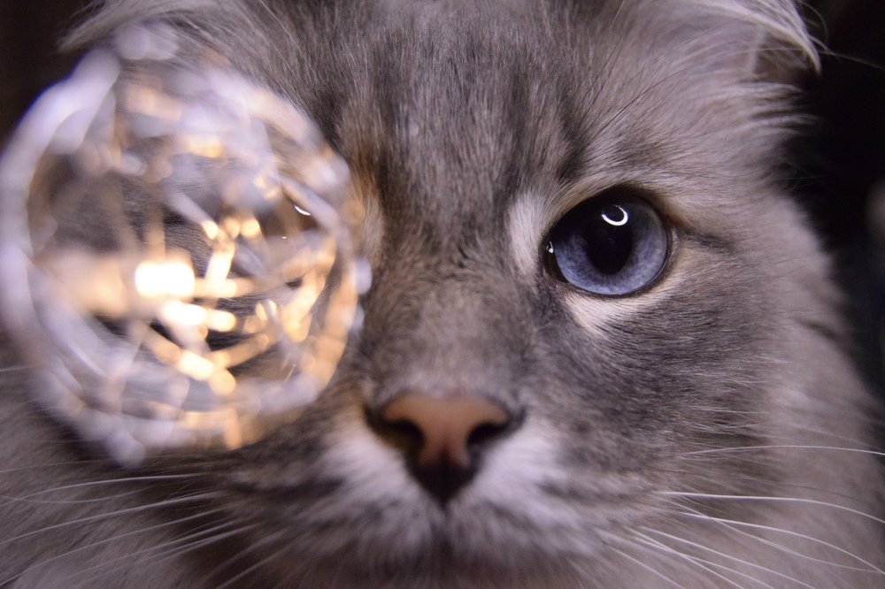 Photograph by Кристина Агапова