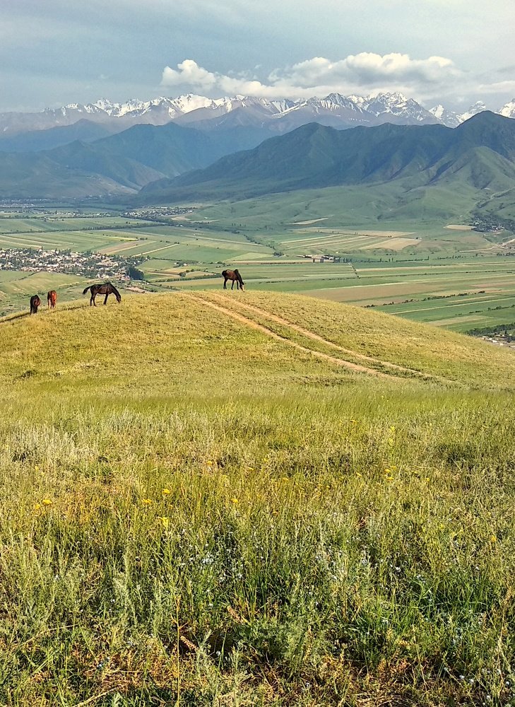 Photograph by Орынбек Асилбаев