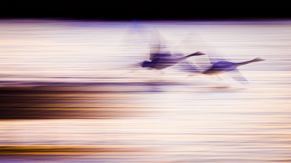 Take off in the evening