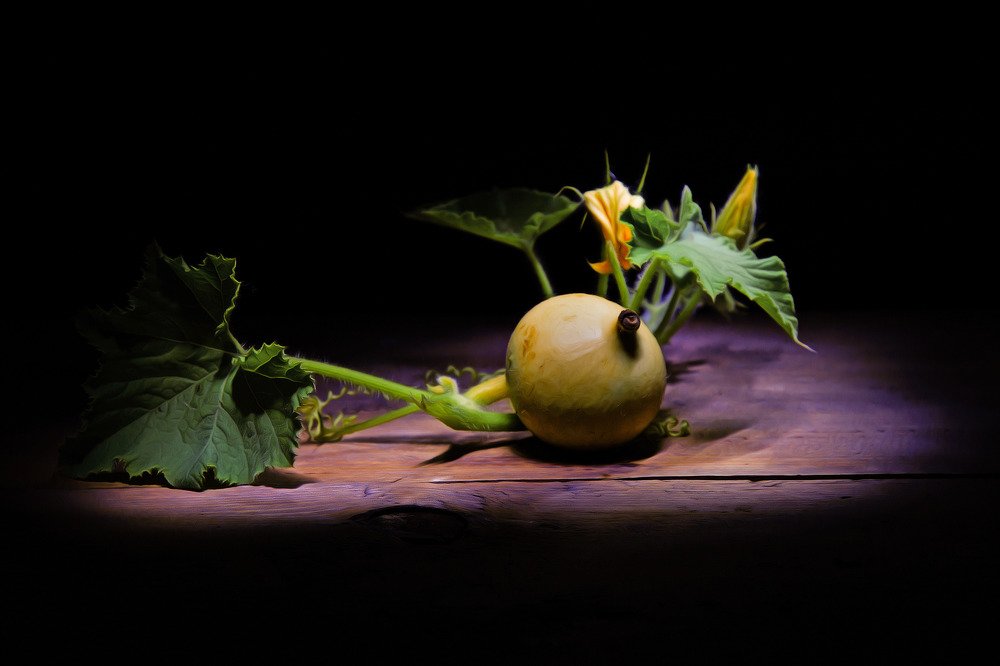 Photograph by Margarita