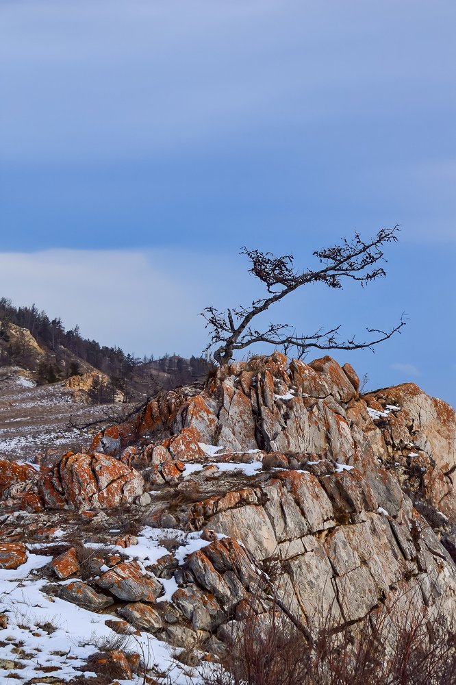 Photograph by Марина Корреа Ластра