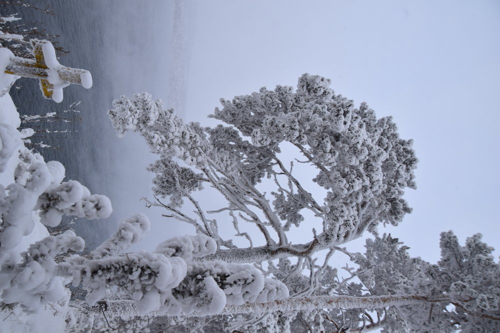 Photograph by Марина Корреа Ластра