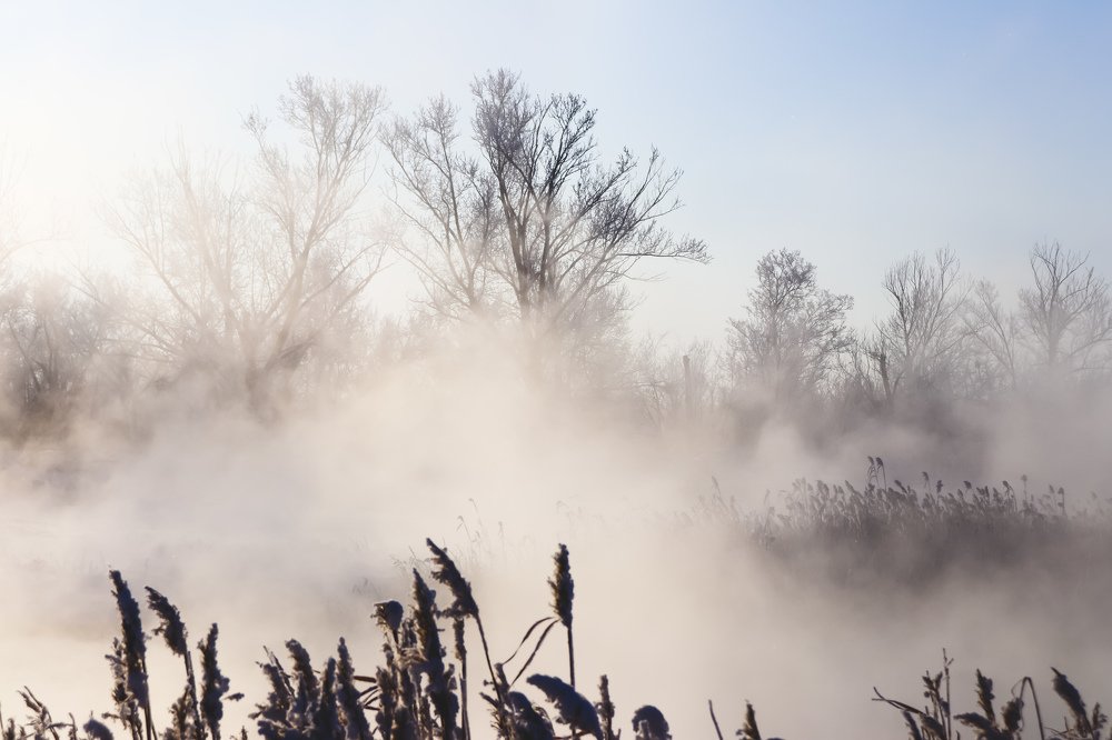 Фотография автора Yermek Zhunusbayev