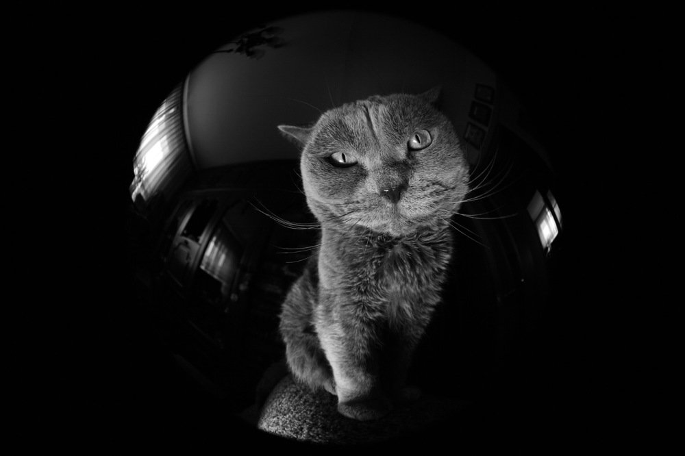 Photograph by Константин Лагоденко