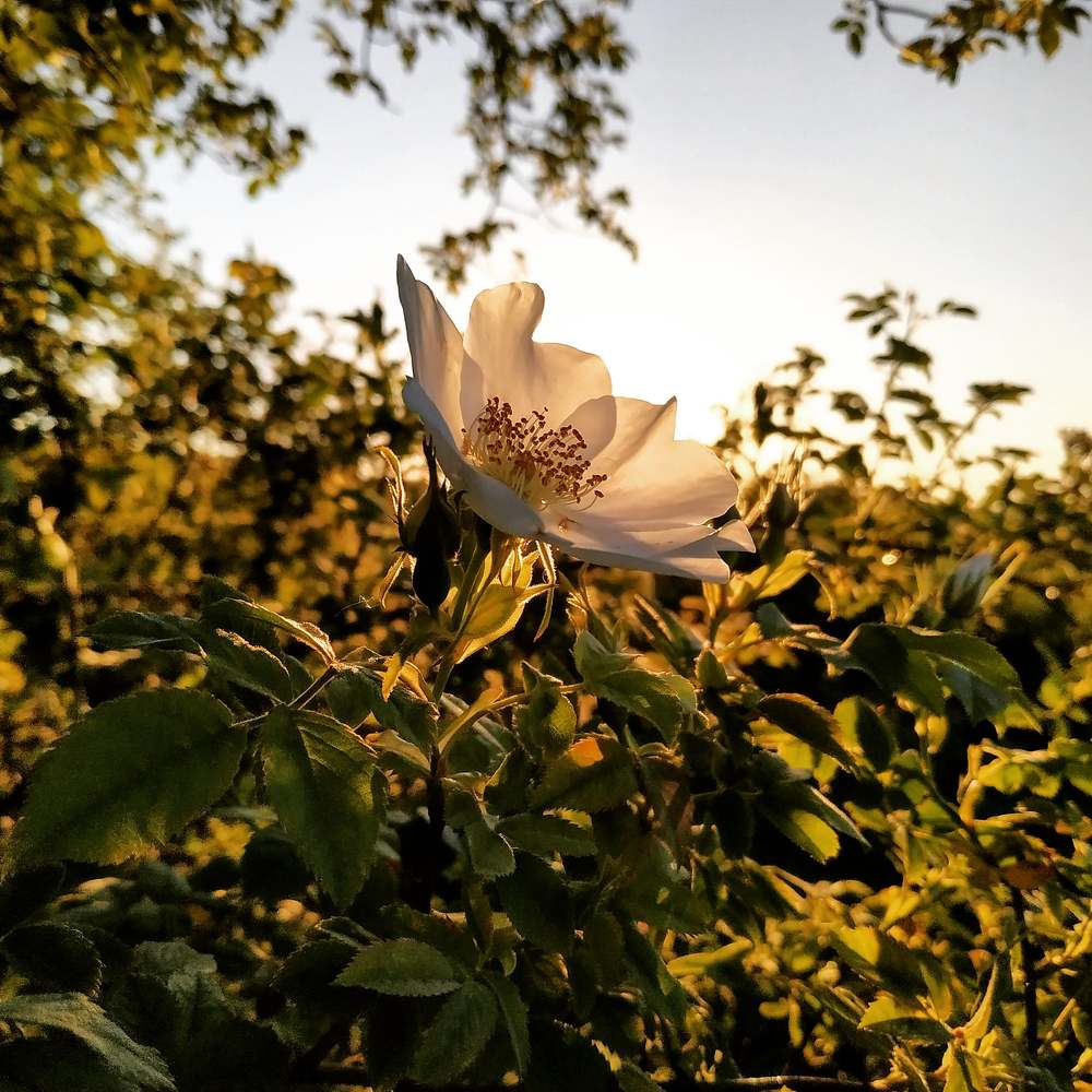Photograph by Матвей Фомин