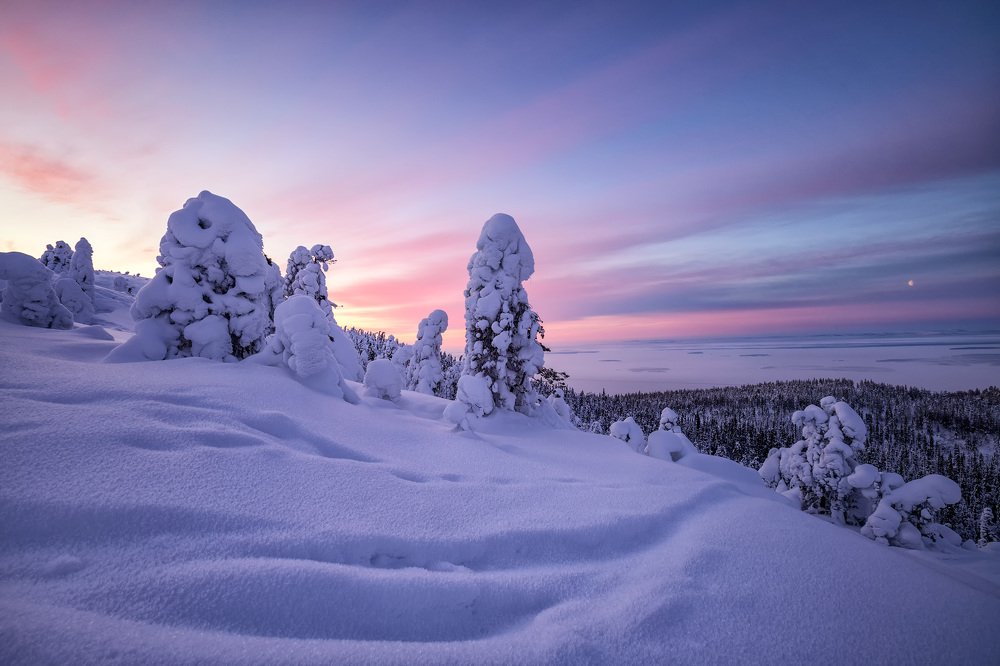 Photograph by Юрий Головченко