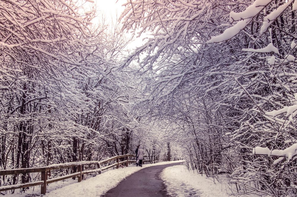 Photograph by Olga Vasina