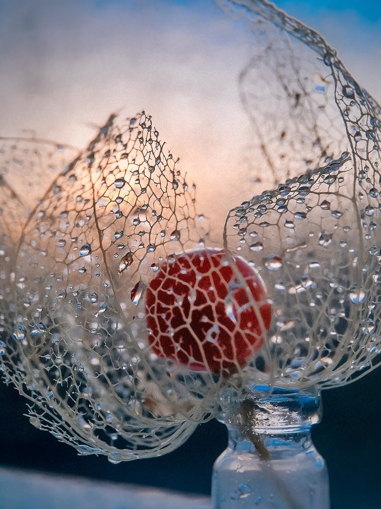 Photograph by Наталья Мальцева