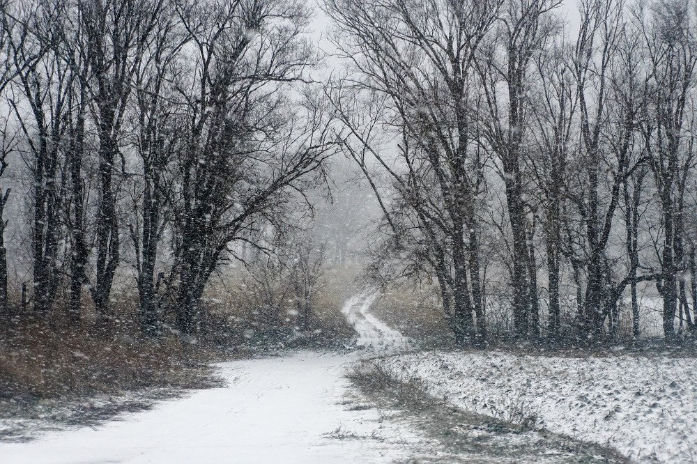 Первый снег