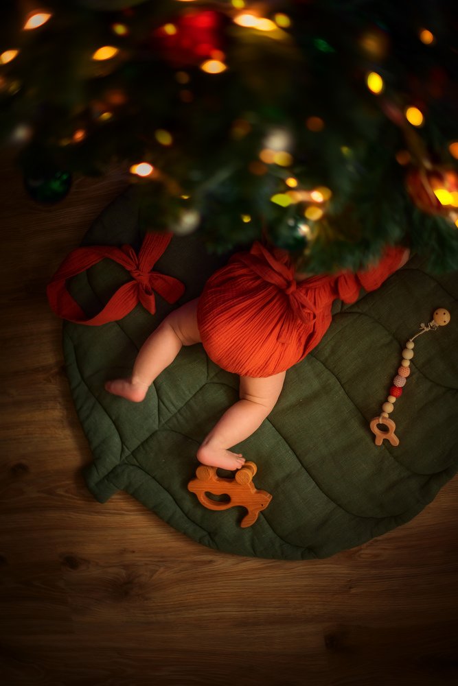 Фотография автора Елена Баклач