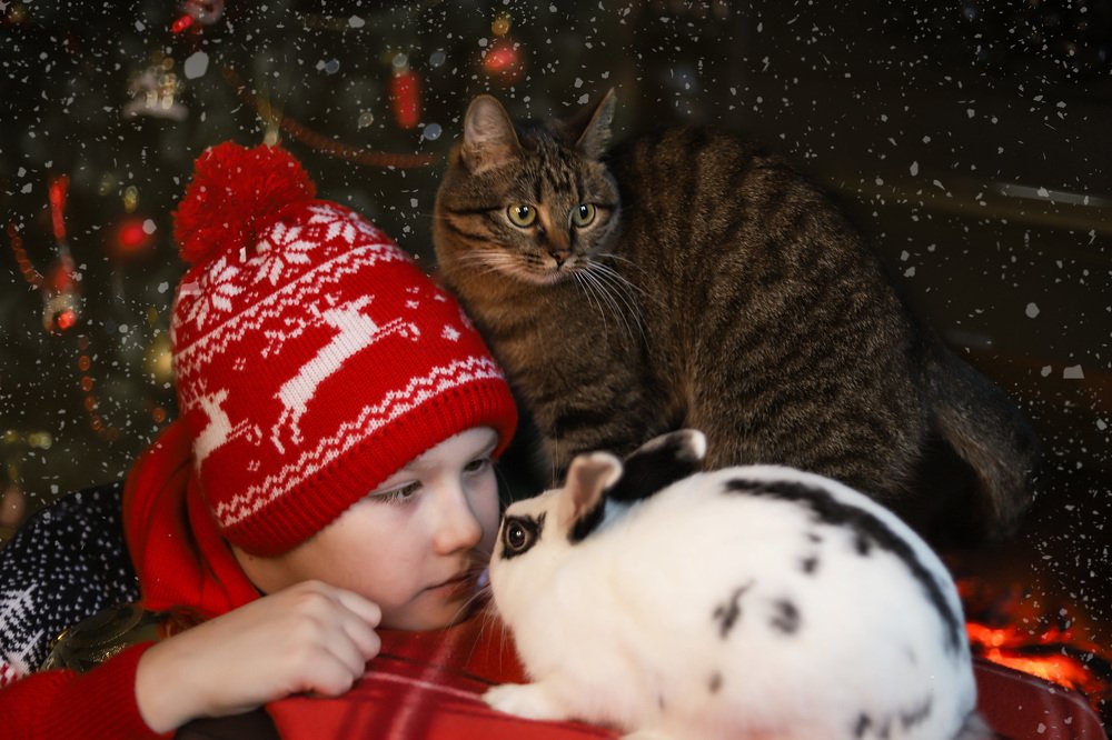 Photograph by Светлана Семакина