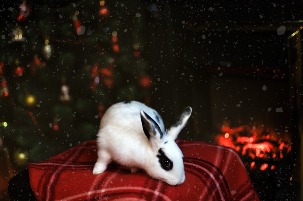 Photograph by Светлана Семакина