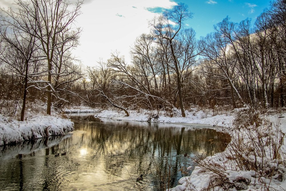 Photograph by Olga Vasina