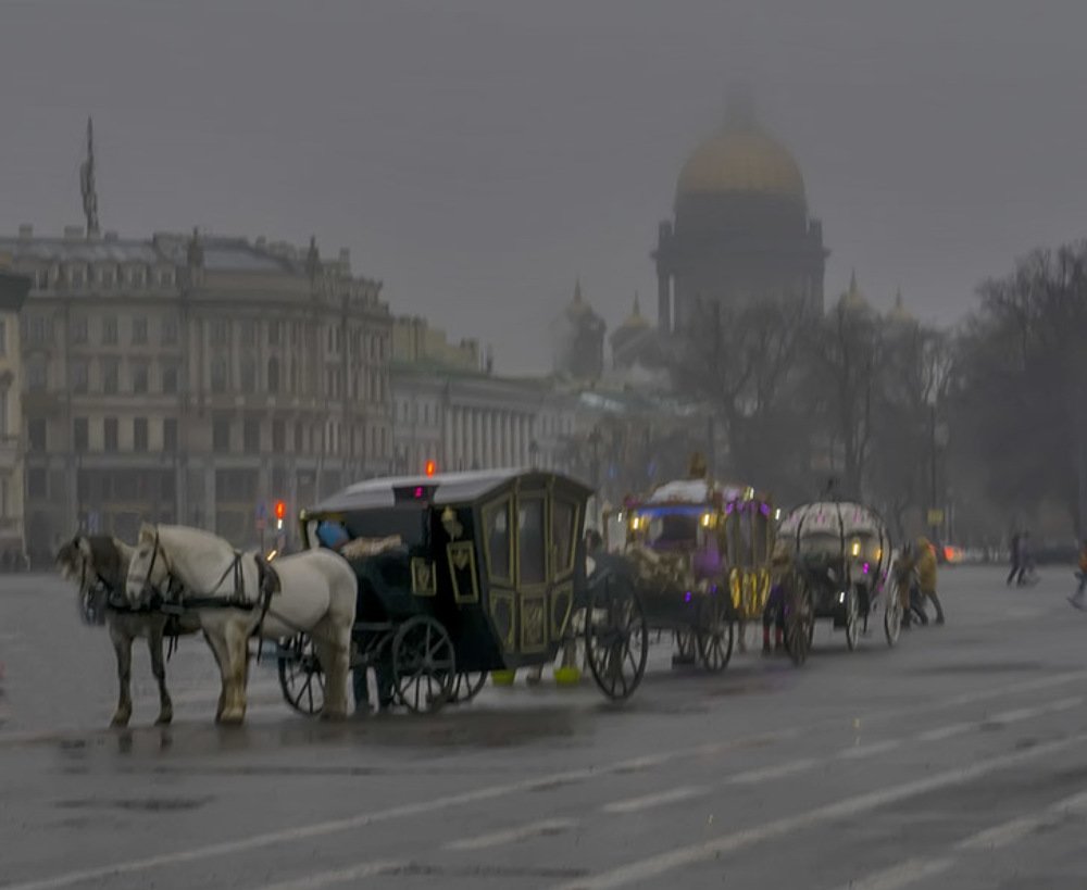 Photograph by Елена Белькова