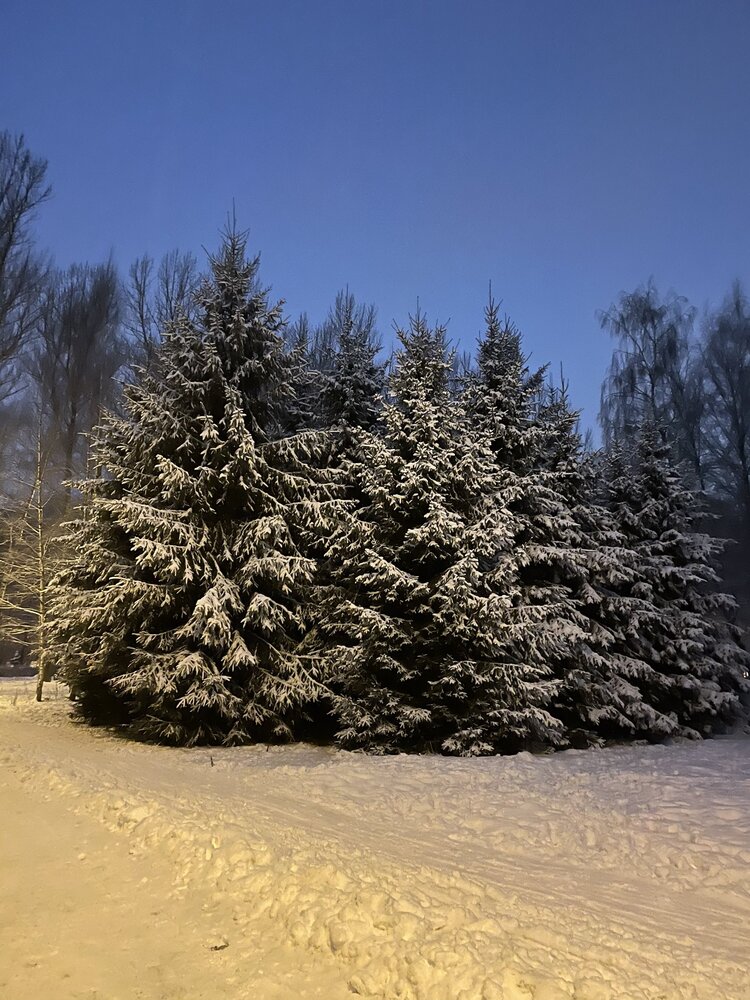 Photograph by Юлия Давшан