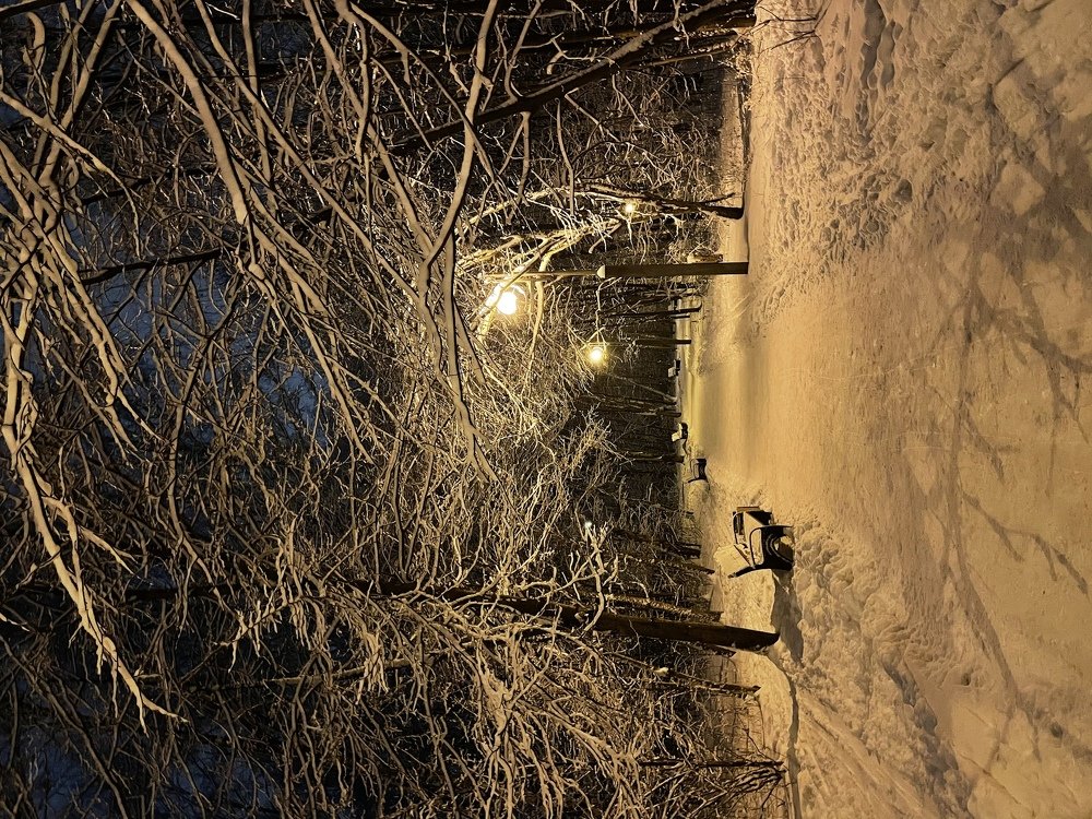 Photograph by Юлия Давшан