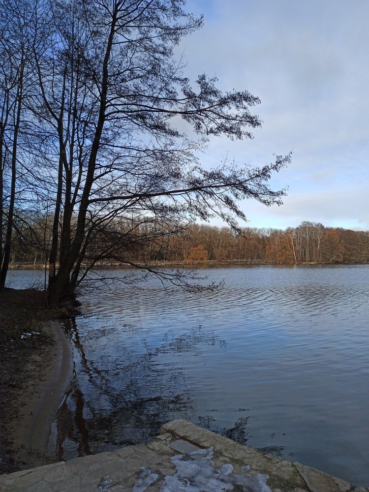 Photograph by Елена Никитюк