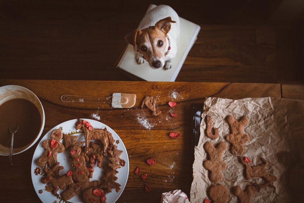 Photograph by Dorota Horváthová