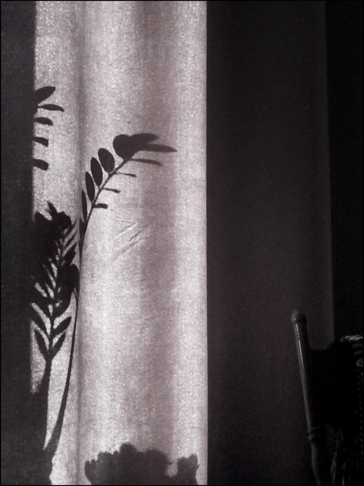 Фотография автора Алёна Герасимова