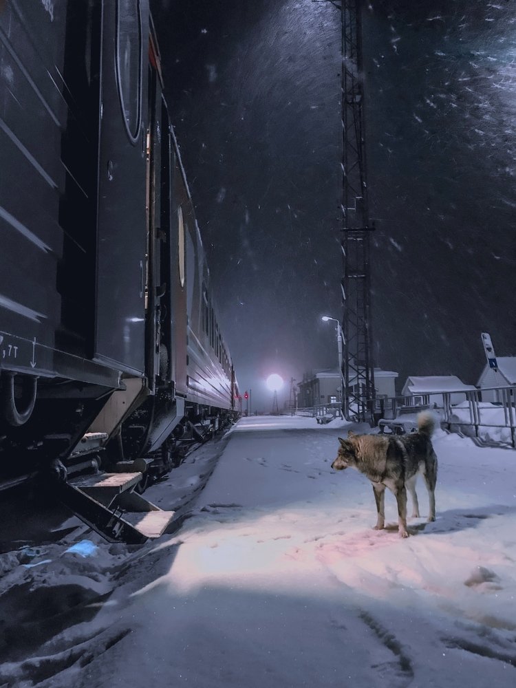 Photograph by Дмитрий Гришкевич