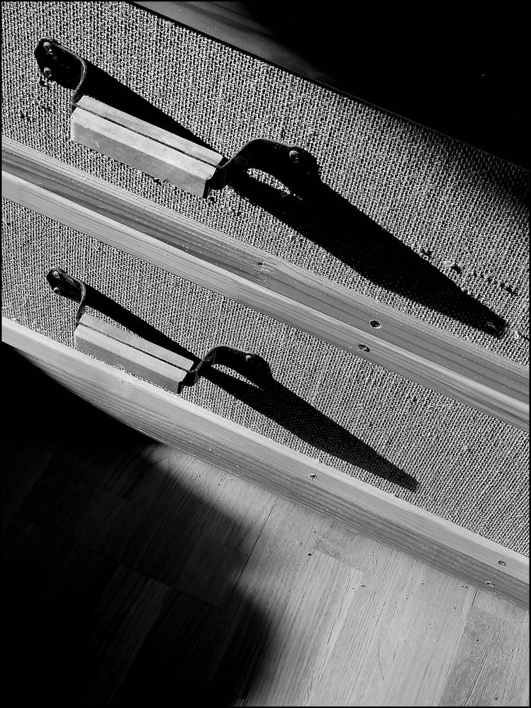 Фотография автора Алёна Герасимова