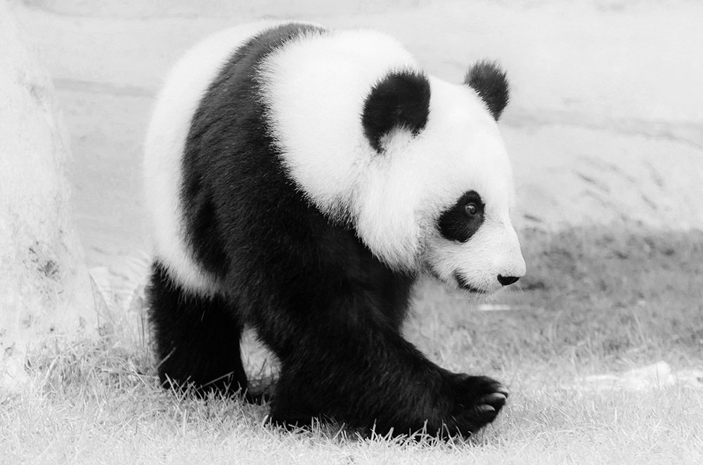 Photograph by Ольга