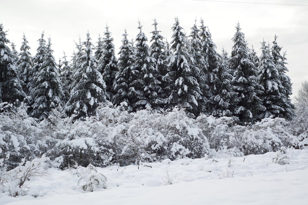 Photograph by Yulia Tanakova