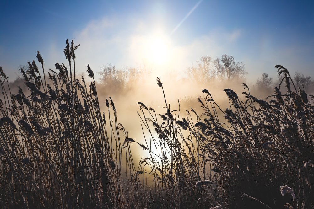 Фотография автора Yermek Zhunusbayev