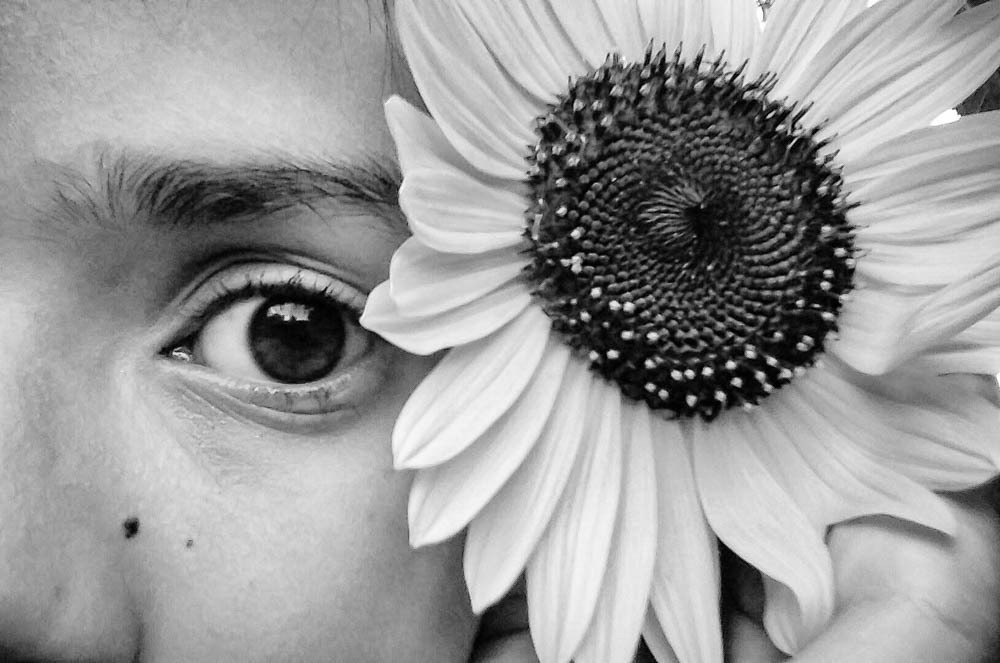 Matilde And The Sunflower
