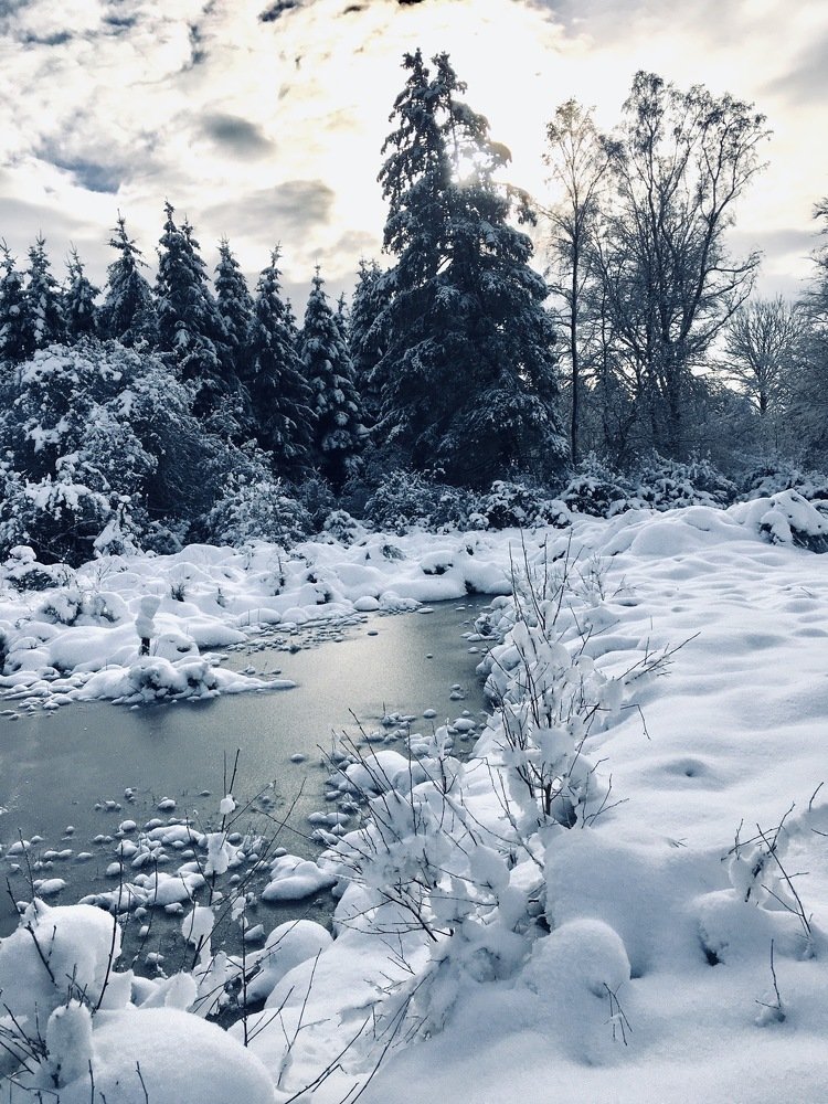 Photograph by Yulia Tanakova