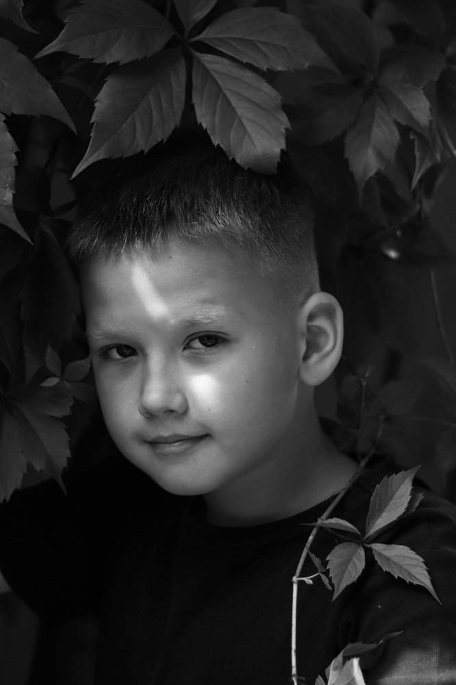 Photograph by Светлана Семакина