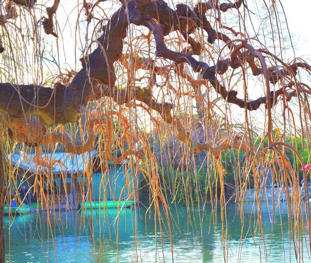 Photograph by Marina Eremin