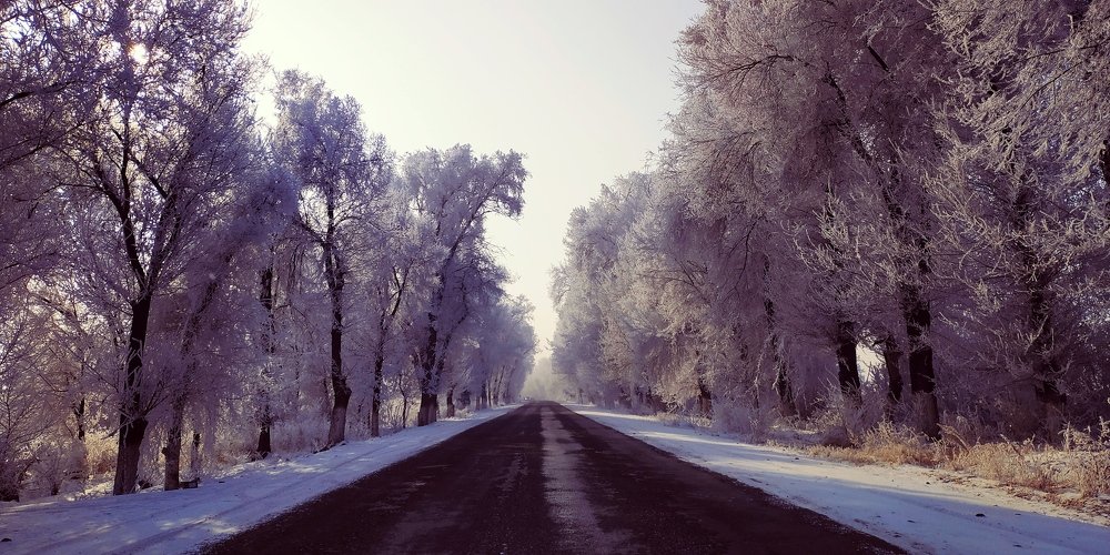 Photograph by Эсен Киргизбаев