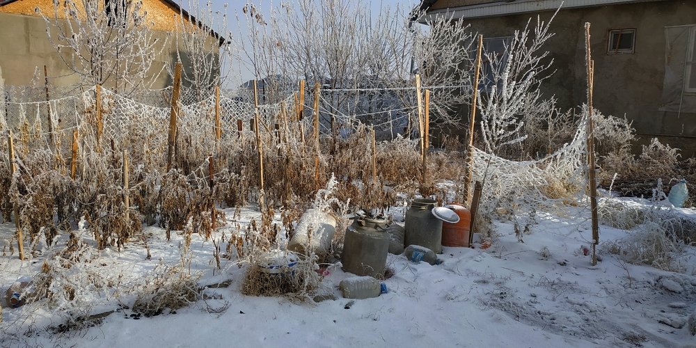 Photograph by Эсен Киргизбаев