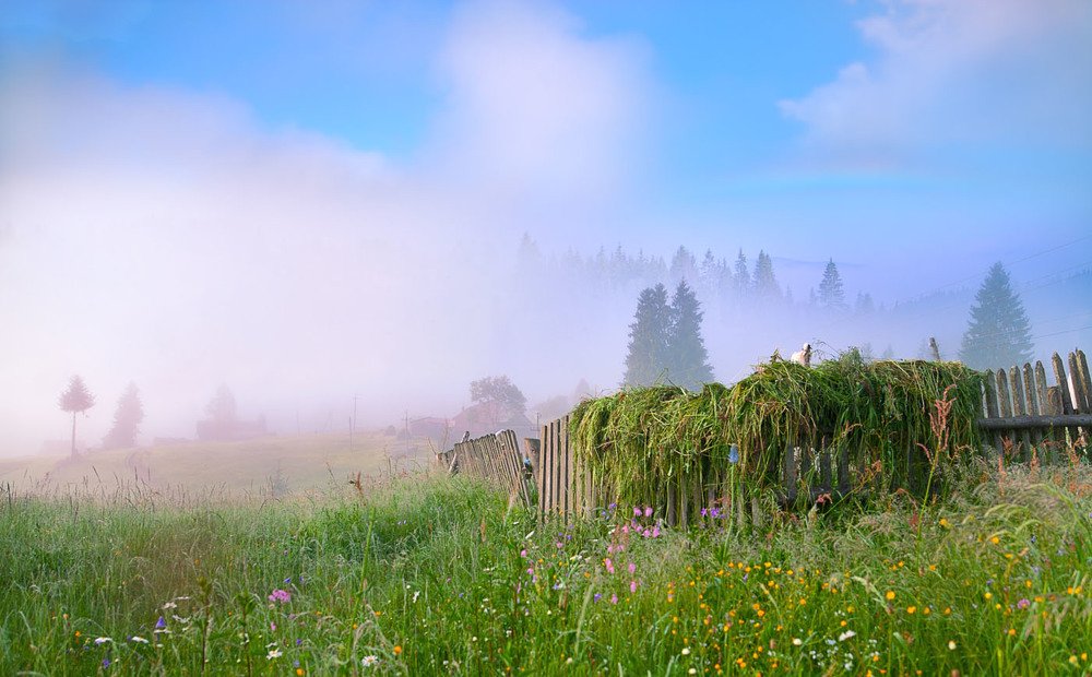 Photograph by Юлия Рублевская