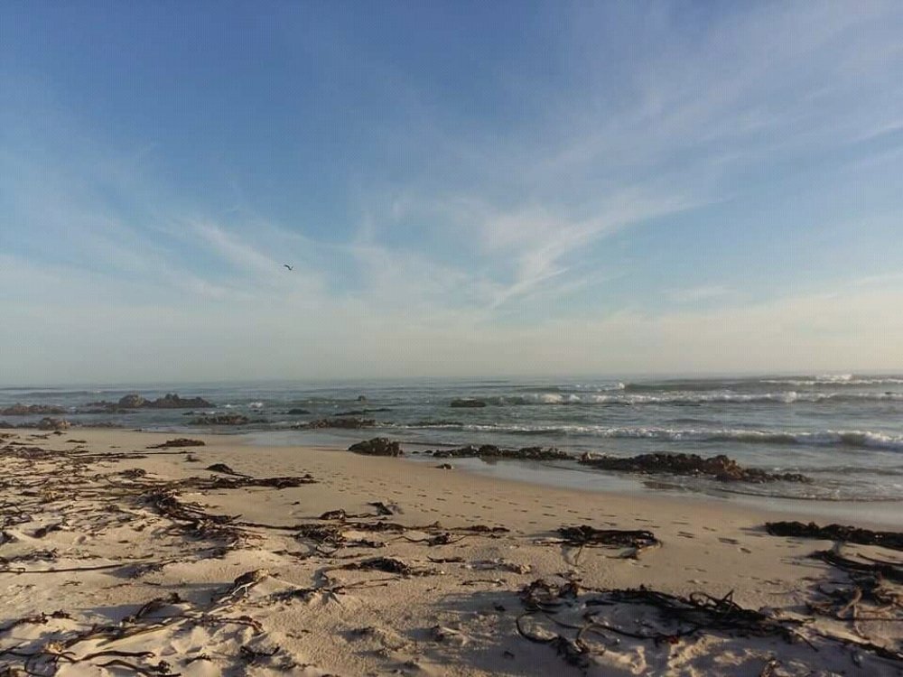 Photograph by Kwagga Kwagga