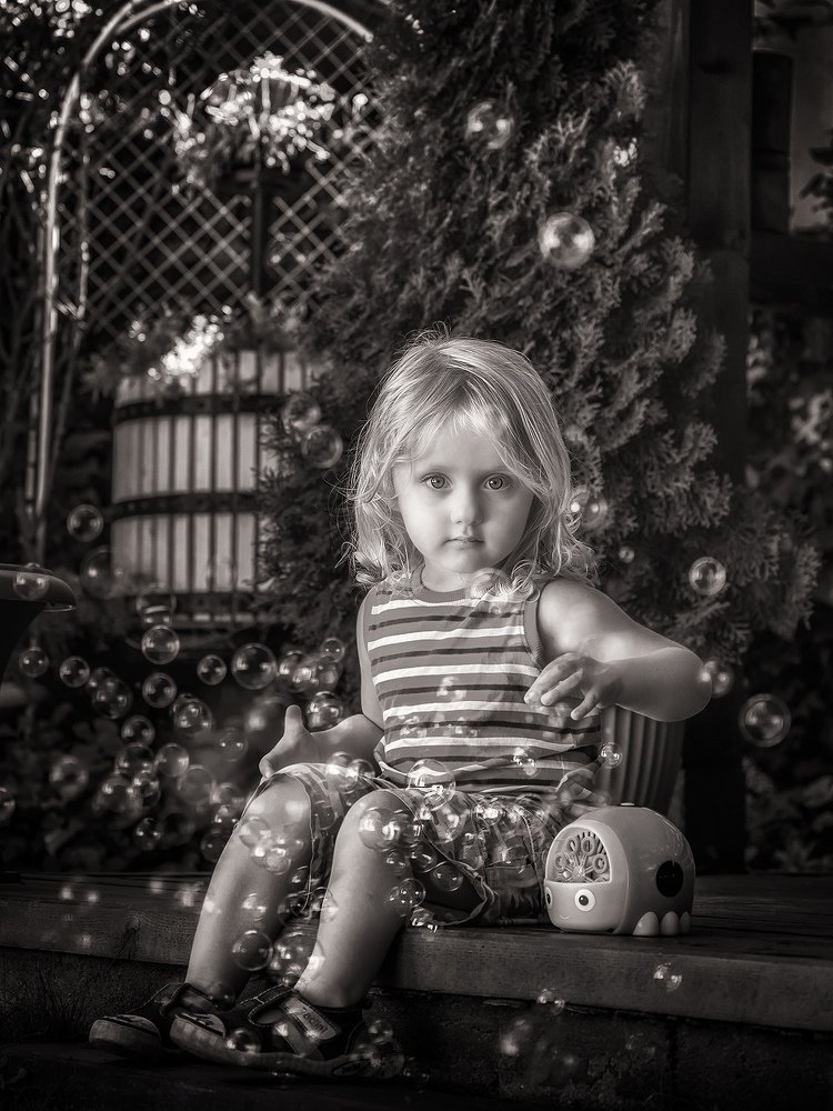 THE WORLD IN BUBBLES