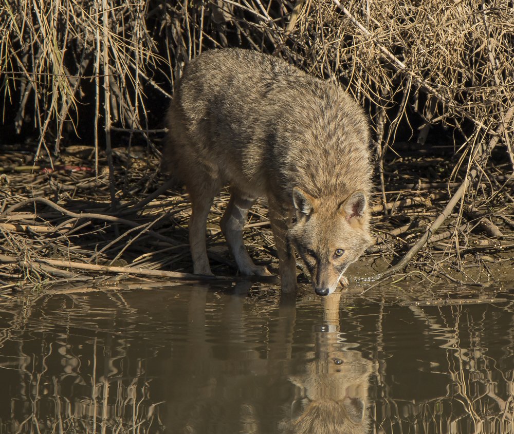 Photograph by Валентина Лопаткина