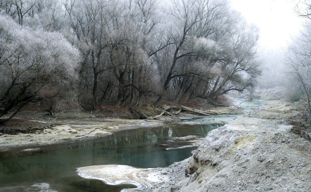 Photograph by Gizela Halászová