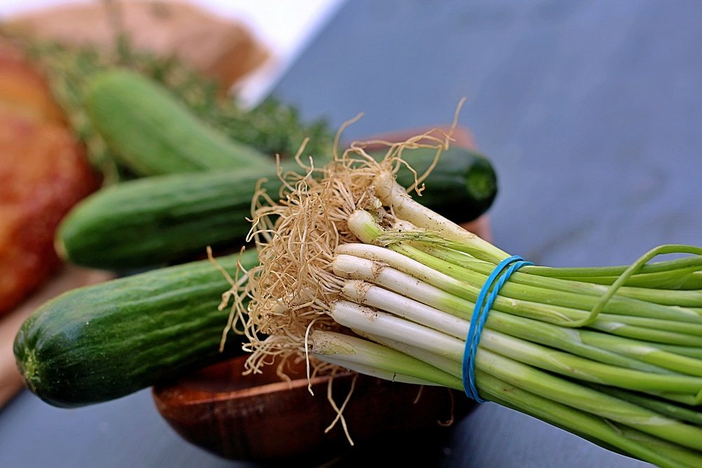 Photograph by Debbie Strauss