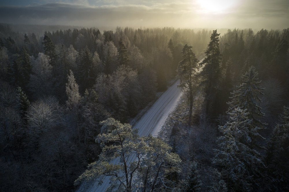 Photograph by Gatis Vilbrants