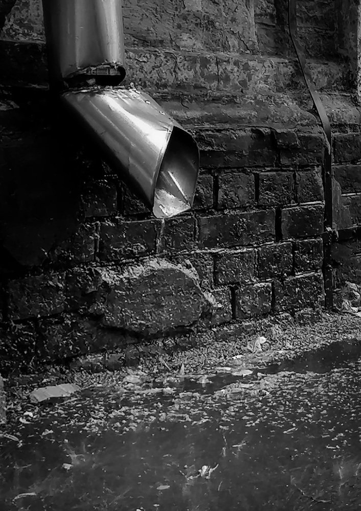 Фотография автора Алёна Герасимова