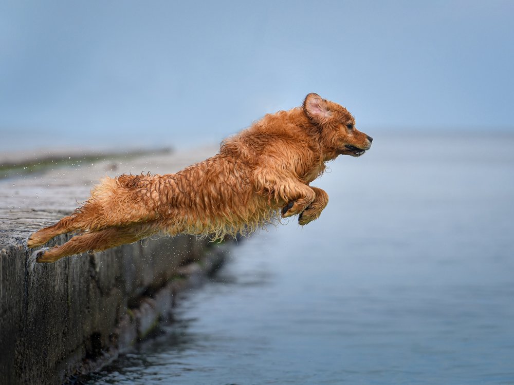 Photograph by Мария Давыдова