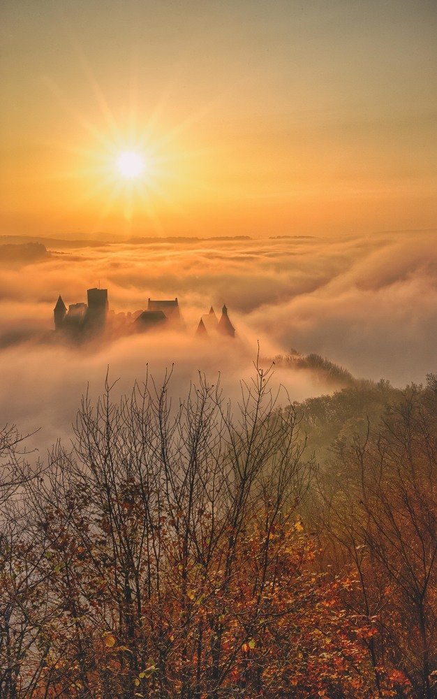 Photograph by Guy Krier