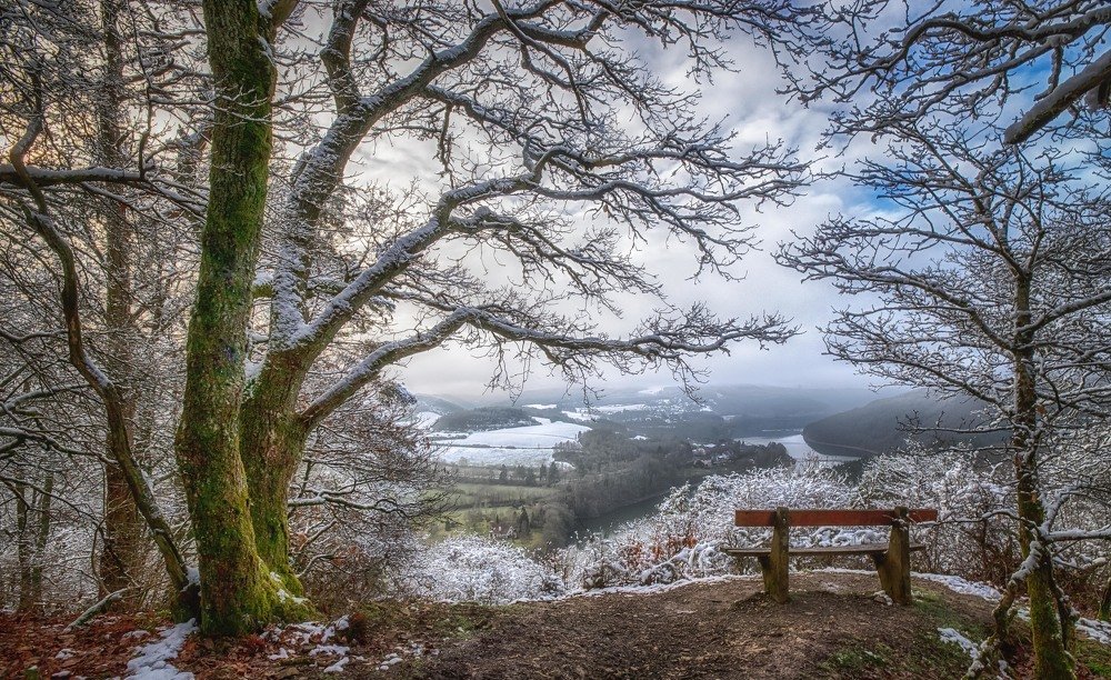 Photograph by Guy Krier