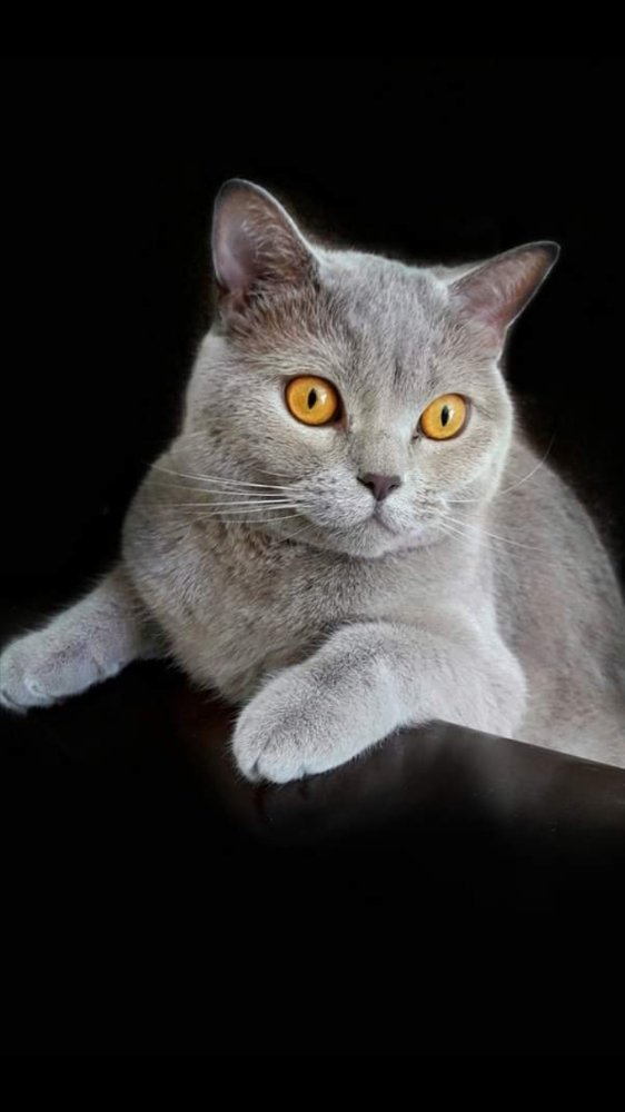 Photograph by Polina Svirida